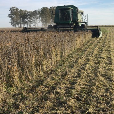 Ingeniero Agrónomo. 
”El mundo es de los audaces”