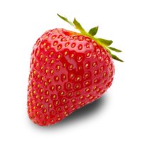 πΈπ±π°ππͺΊπΌππSpring Strawberry πͺ»πΈπ±π·π¦π£π±π (@payaberry) 's Twitter Profile