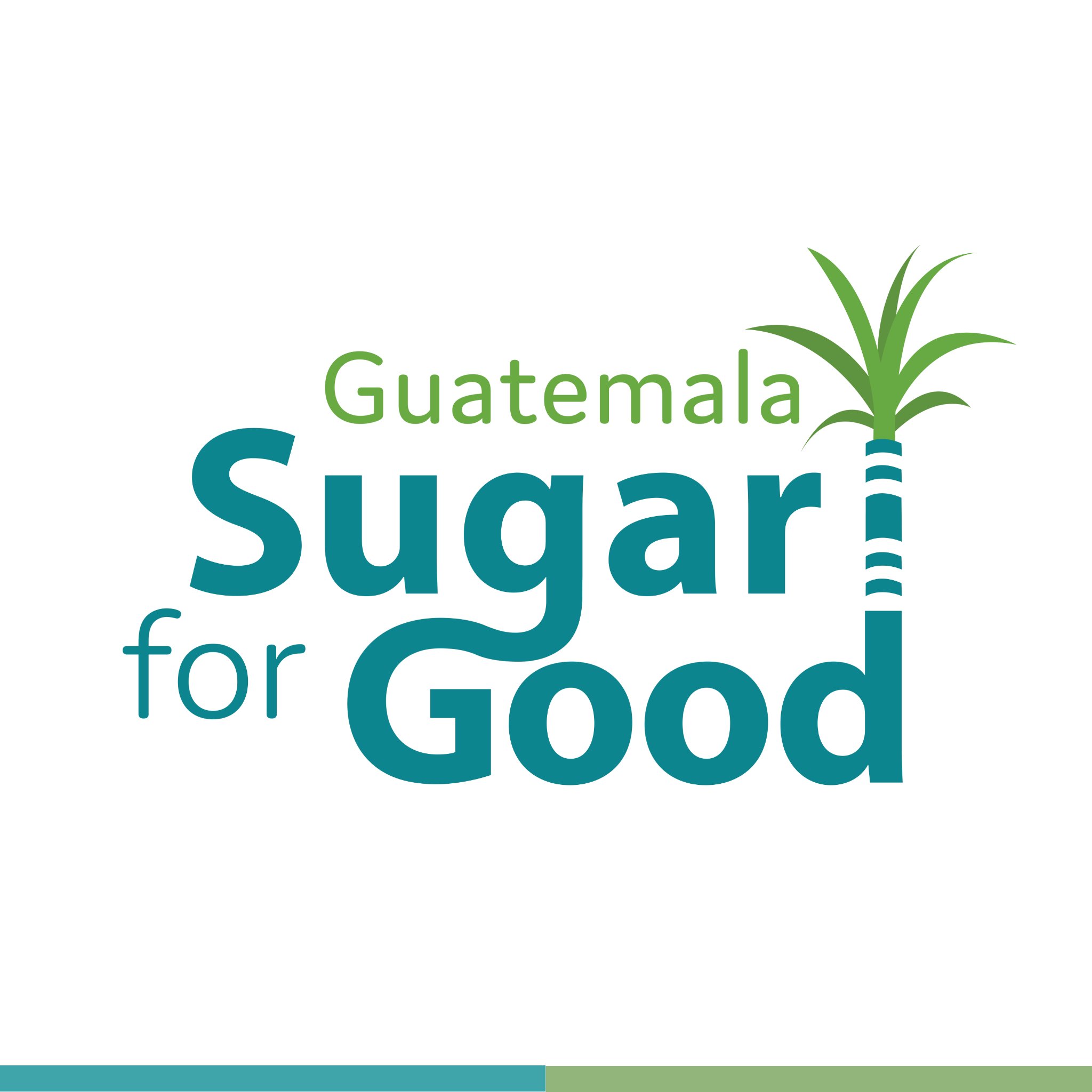 The Sugar for Good page aims to connect the benefits of sugar production with the positive impact they have in several key areas of Guatemala.