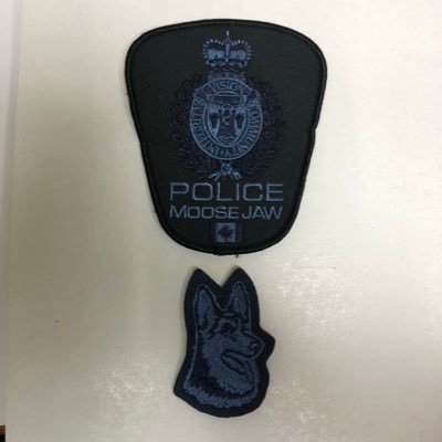 K9 Unit of the Moose Jaw Police Service.   #Argo #Merc #True #Mace. Account is not monitored 24/7. In an emergency call 911.