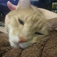 Mary Kirby (@biomarykirby) 's Twitter Profile