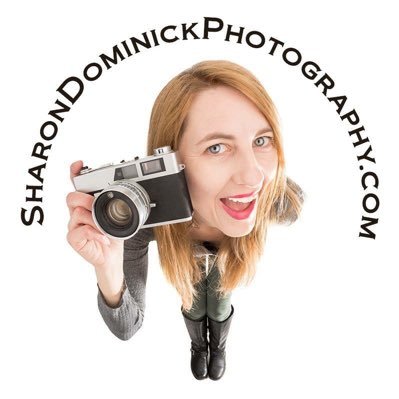 Exclusive photographer selling stock images and video footage through https://t.co/q9VQYTjYzh and Getty Images.