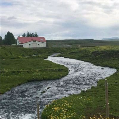 azaaza1400's profile picture. ‏‏‏لا إله الا الله