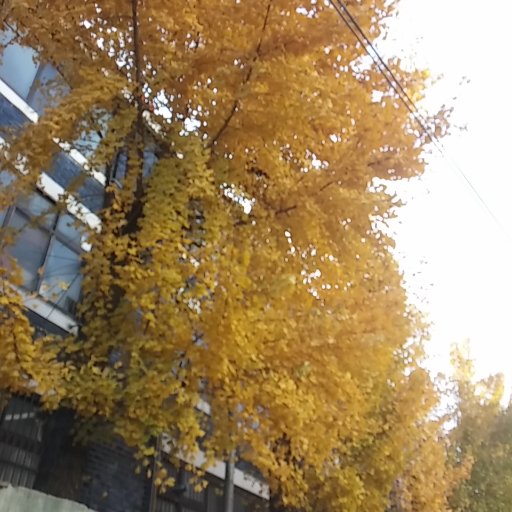 bds54282499's profile picture. 여가