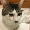 Kimi30552885's profile picture. グローバルに評価されるボカロP。ENVY 20,000再生ありがとうございます！！ 各リンク→https://t.co/ndYqncUhkW サブスク→https://t.co/syahpzj32m