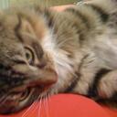 mary elizabeth given - @givenme - Twitter