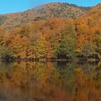 Limnology@METU (@limnologymetu1) 's Twitter Profile