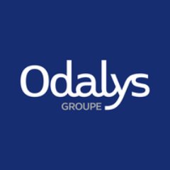 Créé en 1998, le Groupe Odalys est leader Français sur le marché de l'hébergement géré avec 550 établissements en France et en Europe du Sud.