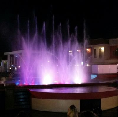 SOLITA2411's profile picture. 