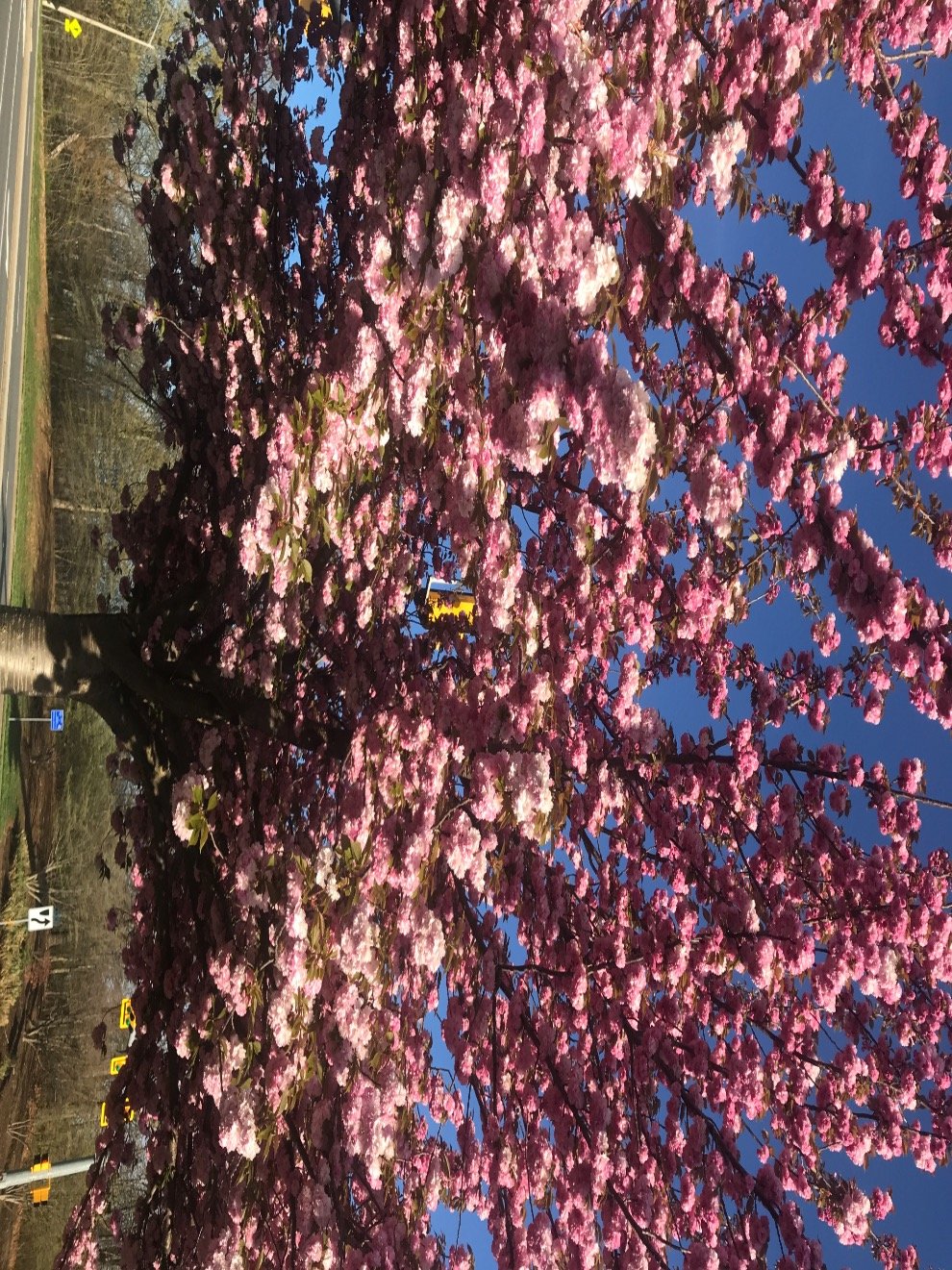 BlueMarvel2's profile picture. 