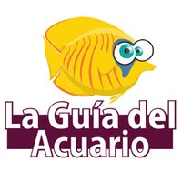 laguiadelacuario (@guiadelacuario) 's Twitter Profile
