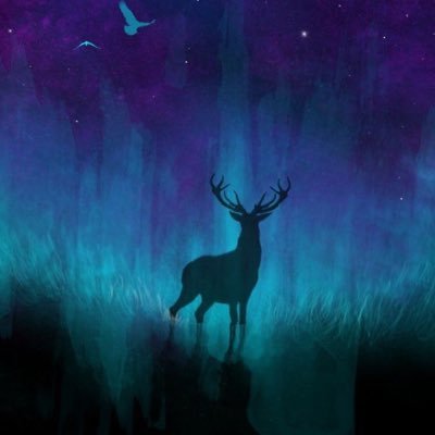 qiyanchun01's profile picture. Designer ，Internet operation