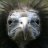 Candelario_luo2's avatar