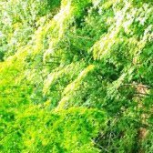 u8GmG5I5N33Zc3M's profile picture. 