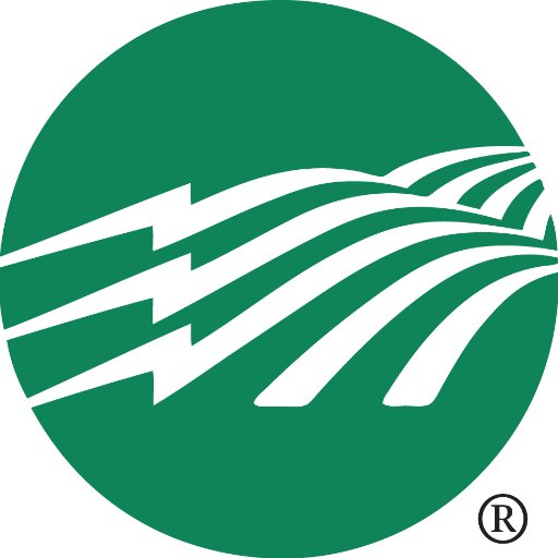 We are a community-oriented electric utility that is owned by the members we serve. This institution is an equal opportunity provider & employer.