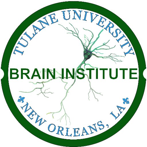 Creating a new era of discovery, learning, and public influence in the brain sciences at Tulane