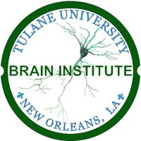 Tulane Brain Institute(@TulaneBrain) 's Twitter Profileg