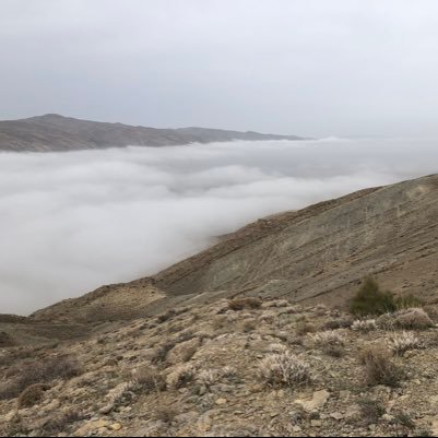 daryush73197341's profile picture. Hi