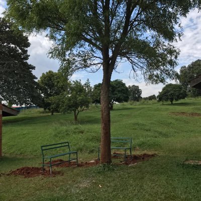 gvhove's profile picture. Emeritus UGent, (groot)vader; basketbal; jazz