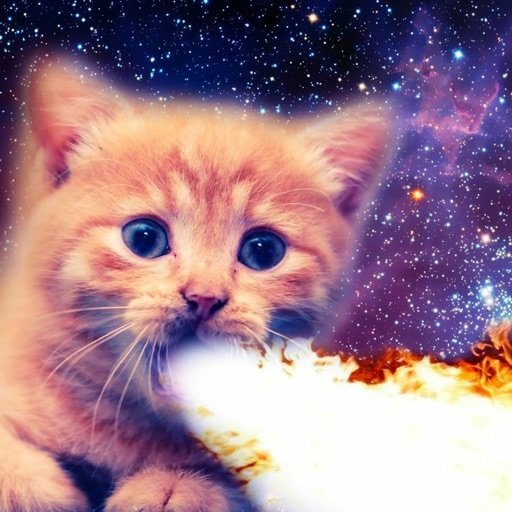 22-year-old weirdo. Blind. Nuts. Profane. Geeky. Musical. (he/him) #CatsAreLife Taken by @LaurenCeleste0, Masto @x0@dragonscave.space, discord x0_1372