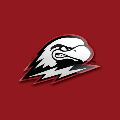 The official Twitter account for the Southern Utah Men's Tennis Team | #TBirdNation