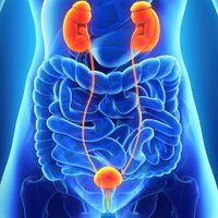 Ottawa Uro-Oncology Research Group (@ottawauroonc) 's Twitter Profile