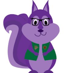 Recruit_V_I_P's profile picture. Don't just #recruit anyone into your organization, #recruit a VIP who will take your organization to the next level! #PurpleSquirrel @CraigTreisch @PlaceBig