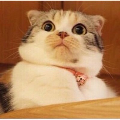 kidd_Fish's profile picture. 