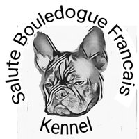 Salute Bouledogue Francais(@FrancaisSalute) 's Twitter Profile Photo