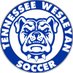 Tennessee Wesleyan Mens Soccer (@TWUMensSoccer) Twitter profile photo