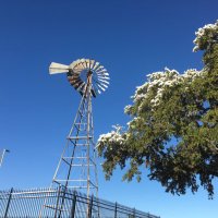 RCES Office (@rces_office) 's Twitter Profile