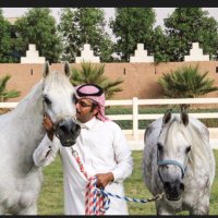 مشعل بن جريد العنزي (@7rfe) 's Twitter Profile