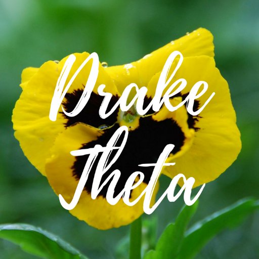 Kappa Alpha Theta | Beta Kappa Chapter | @DrakeUniversity