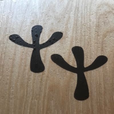 kojirocajon's profile picture. 人の手から生まれる音で世界中を笑顔に