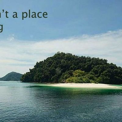 Simspk1's profile picture. 