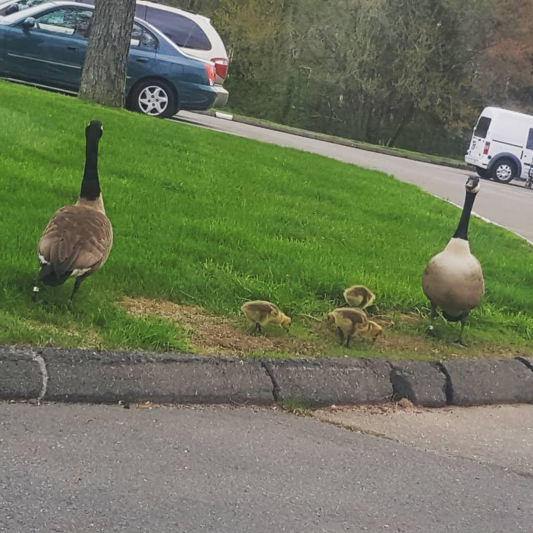 kaykay0314's profile picture. 