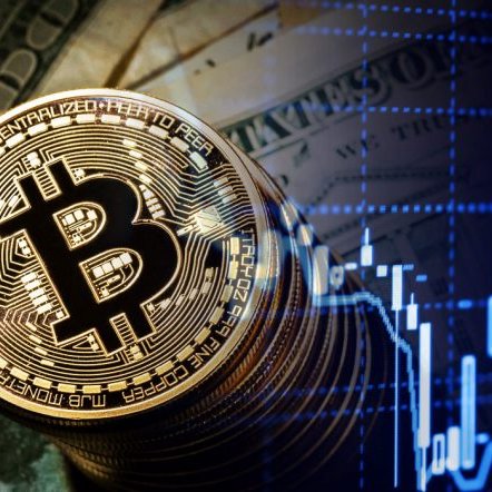 EktaSin93392601's profile picture. #CRO