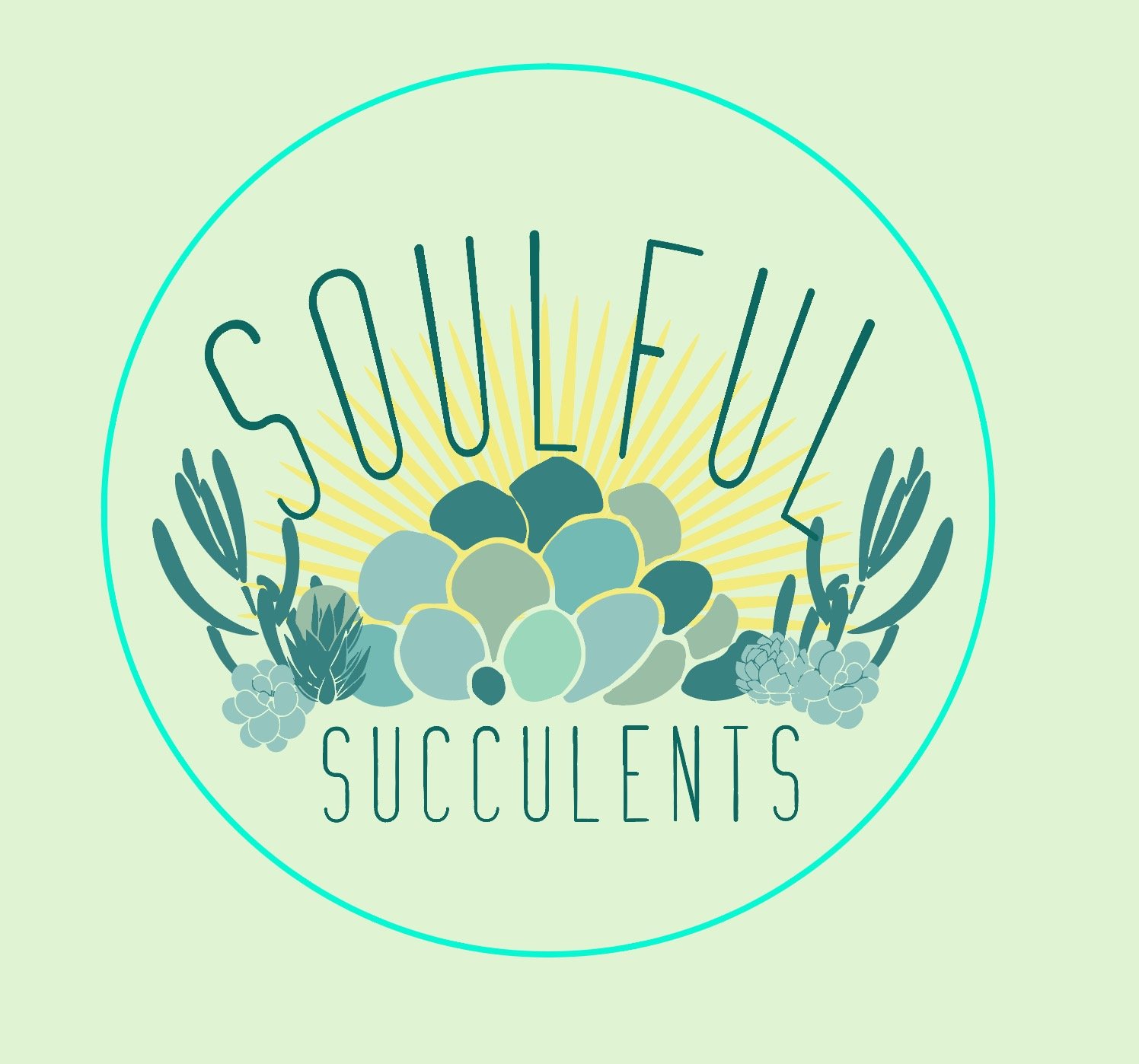 Living Art|Home~Office Decor|Home Grown|Succulents|Cacti|Airplants|Tropicals|FORSALE|Party Favors|Centerpieces|Plant Bar|Workshops|Private/Zoom Parties|DIY Kits
