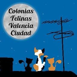 Asociación de Colonias Felinas de Valencia ciudad y pedanías. Si eres responsable de una de ellas o quieres colaborar, ÚNETE !