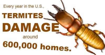 Protect your Home pest control