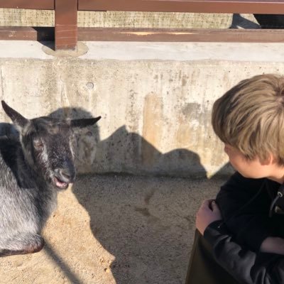 po12me6ru's profile picture. 邦ロで生かされてます/晴れて東京のしがない社会人になりましたとさ