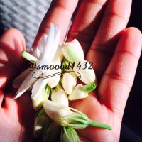 صمود جازان (@smoood1432) 's Twitter Profile Photo صمود جازان (@smoood1432) 's Twitter Profile Photo