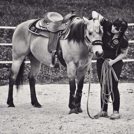 Bloggeuse sur l'équitation américaine 🤠 Propriétaire & cavalière 🐴
 Graphiste & photographe 📷