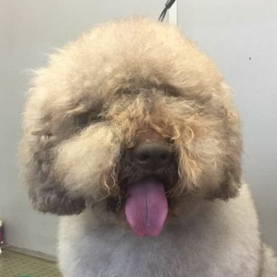 de_refilon's profile picture. 