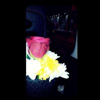 heba Hussein, ❄ (@56f50ab6cca24ca) 's Twitter Profile