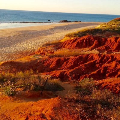 Pythian_Lynx's profile picture. Mi dolor es silencioso y pasado por alto. Solo quería hacer feliz a la gente. 😶