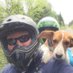 Daryl Trelegan (@daryltrelegan) Twitter profile photo Daryl Trelegan (@daryltrelegan) Twitter profile photo