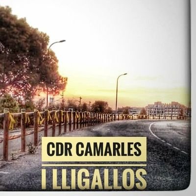 Camarles i Lligallos units per la República Catalana. 
#CDRCamarlesiLligallos