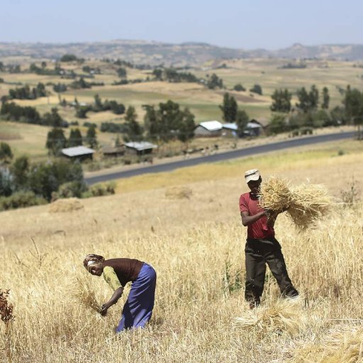 አነሰ ሶበ ተዘከርኩ ለሀገርየ ወለአምቦ፡ ነደ ልብየ ከመ እሳት፤ አዶናይ ርድአኒ፡፡Yet Trying to comprehend the very chemistry of Ambo. “N’AIE PAS PEUR -JE SUIS AVEC TOI!”