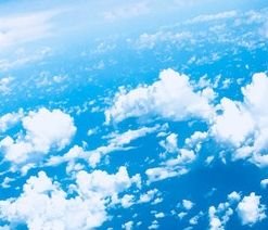 Meri_guess's profile picture. 推定、婉曲の助動詞。日常垢